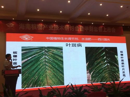 創(chuàng)新驅(qū)動，共贏未來——2018檳榔產(chǎn)業(yè)技術(shù)研討交流會紀(jì)實與展望