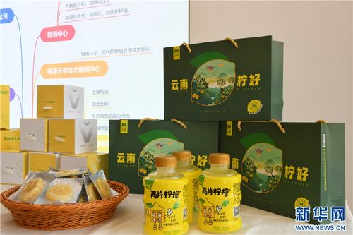 永勝小檸檬 技術(shù)推廣凝聚鄉(xiāng)村振興大力量