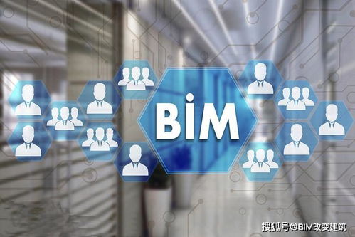 BIM造價咨詢服務(wù)的應用與信息技術(shù)咨詢的深度融合