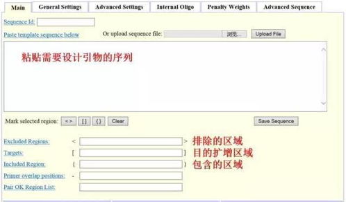 設計引物怕踩坑？這3款在線軟件輕松掃雷——淄博軟件設計指南
